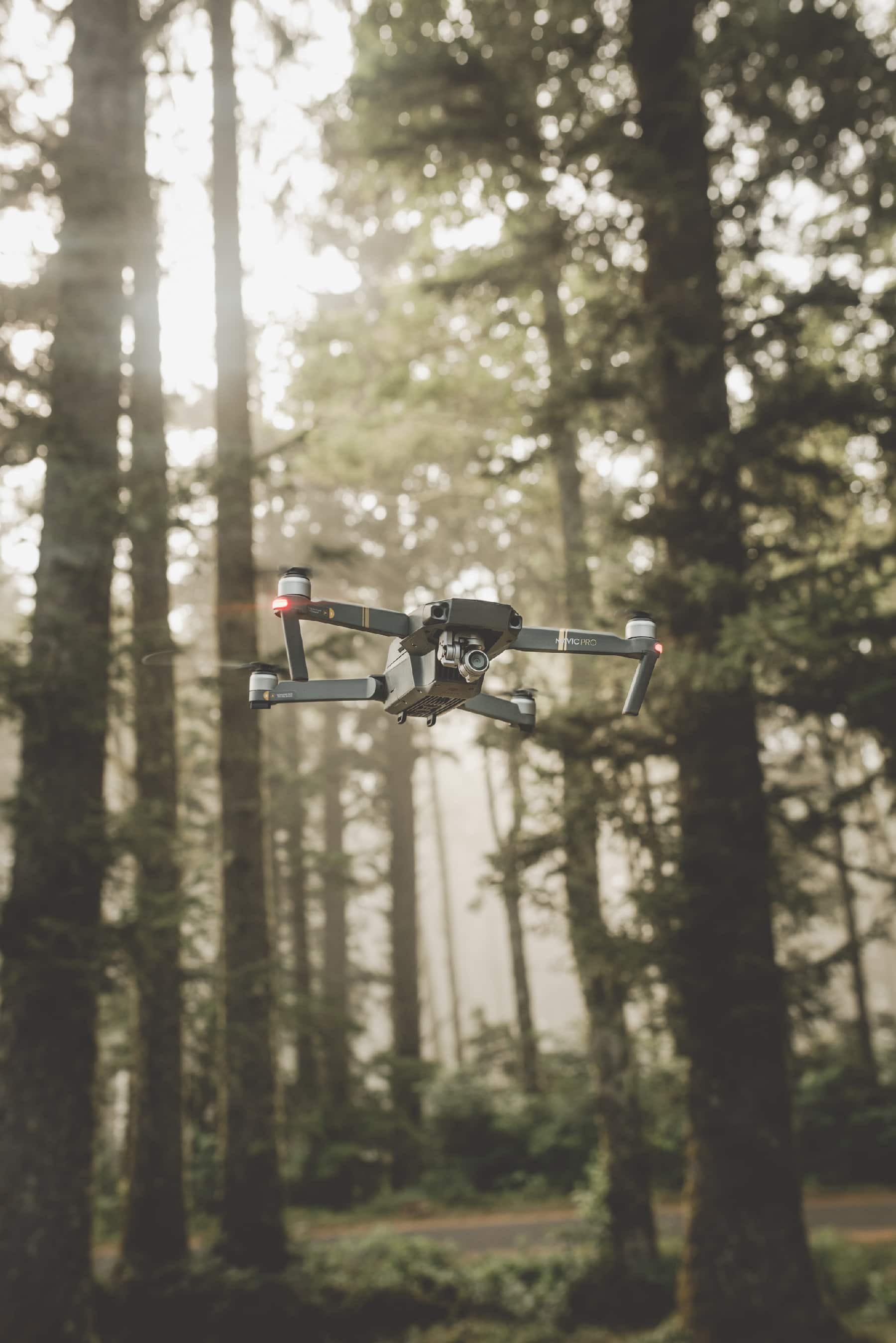 Drohnen Workshop im Dyckburger Wald